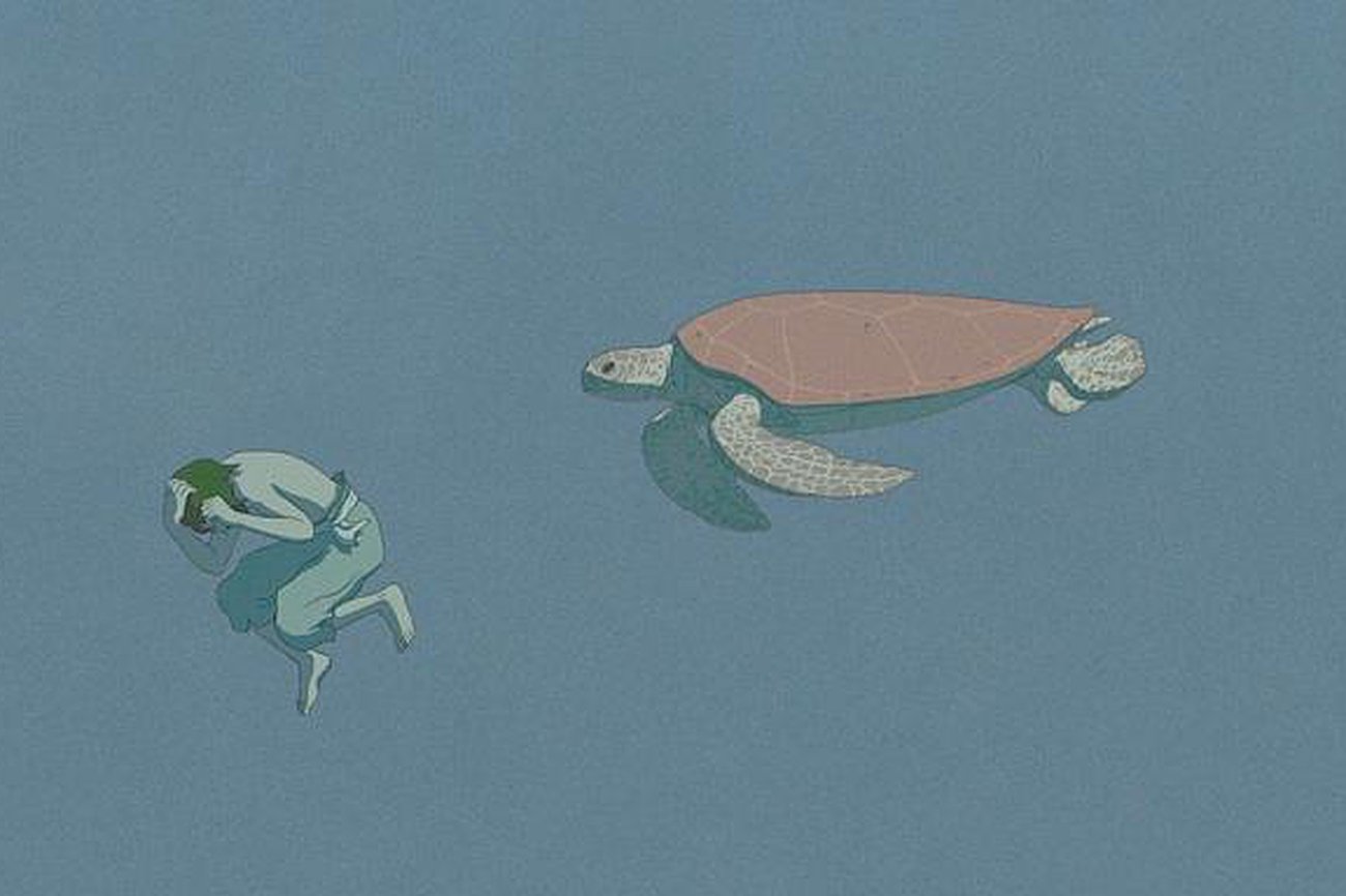Rescates (1): La tortuga roja. Territorios de la animación