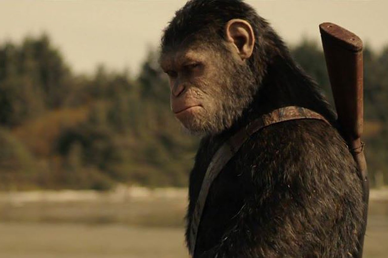 La guerra del planeta de los simios (2): La humanidad como algo que hay que humanizar
