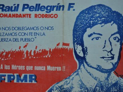 Raúl Pellegrin