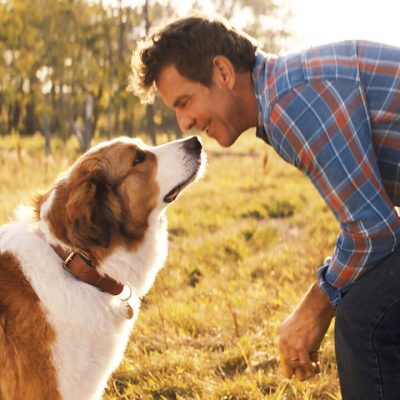 15 películas de perros en Netflix